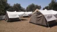 Assos Olive Kamp